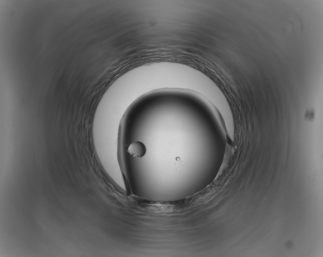 X0000096990328200802291215