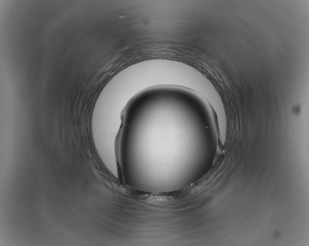 X0000096990332200802291215