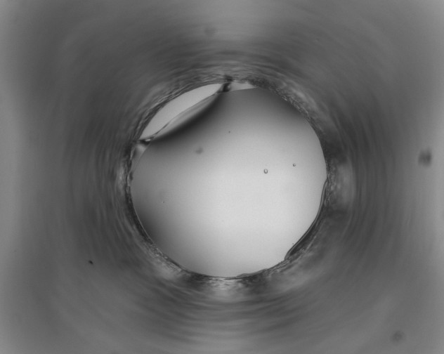 X0000096990333200802291215