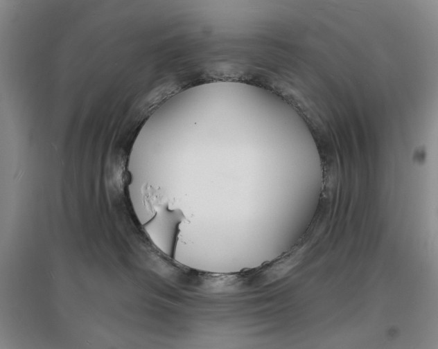 X0000096990334200802291215