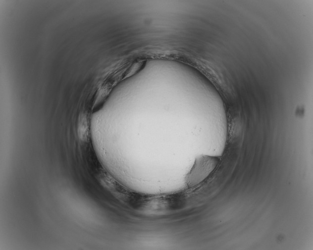 X0000096990335200802291215