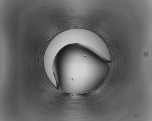 X0000096990336200802291215