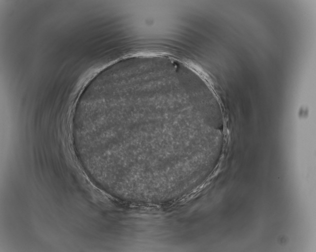 X0000096990337200802291214