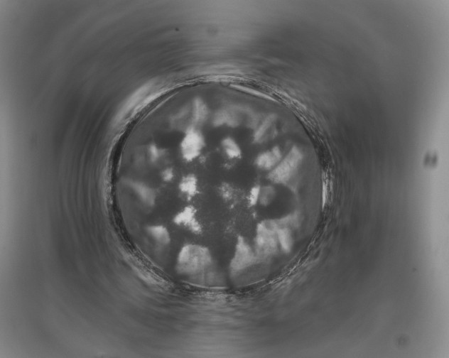 X0000096990339200802291214