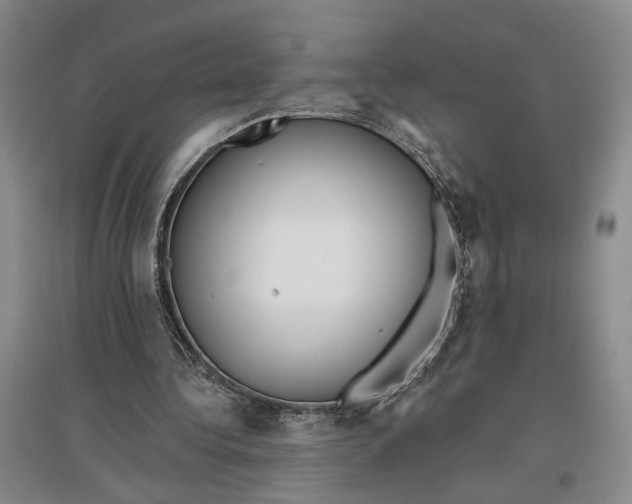 X0000096990340200802291214