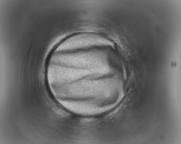 X0000096990342200802291214