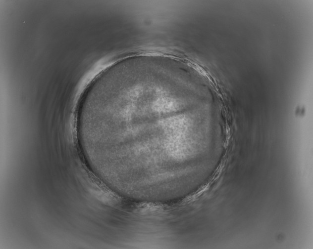 X0000096990343200802291214