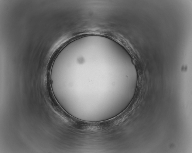 X0000096990344200802291214