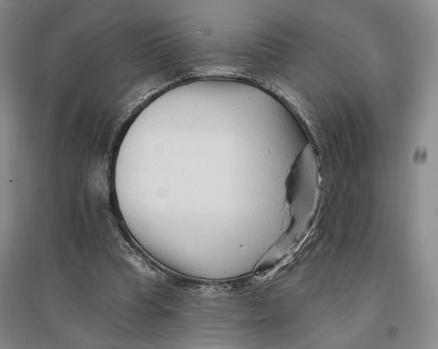 X0000096990345200802291214