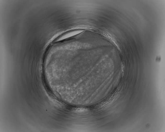 X0000096990348200802291214