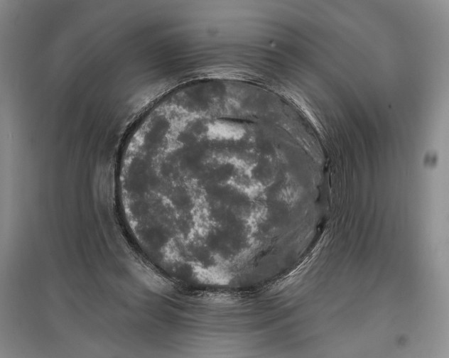 X0000096990349200802291214