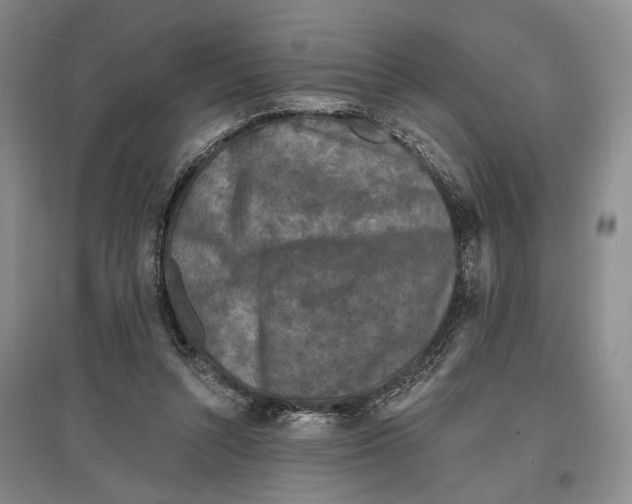 X0000096990352200802291214