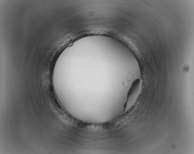 X0000096990354200802291214