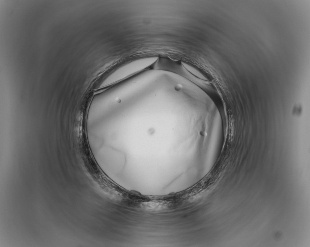 X0000096990356200802291214