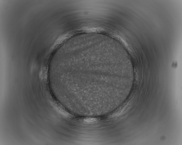 X0000096990357200802291214