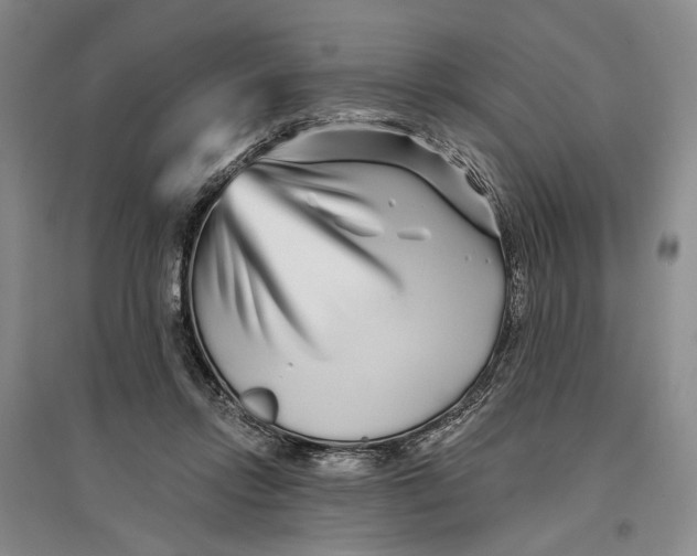 X0000096990358200802291214