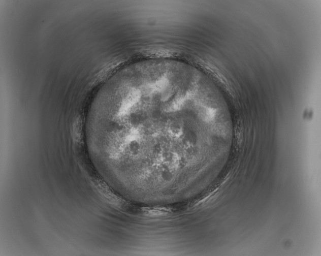 X0000096990359200802291214