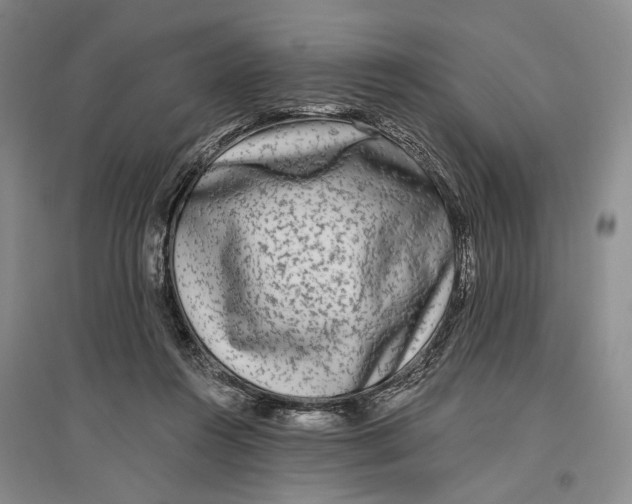 X0000096990360200802291214