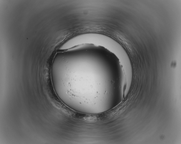 X0000096990362200802291214