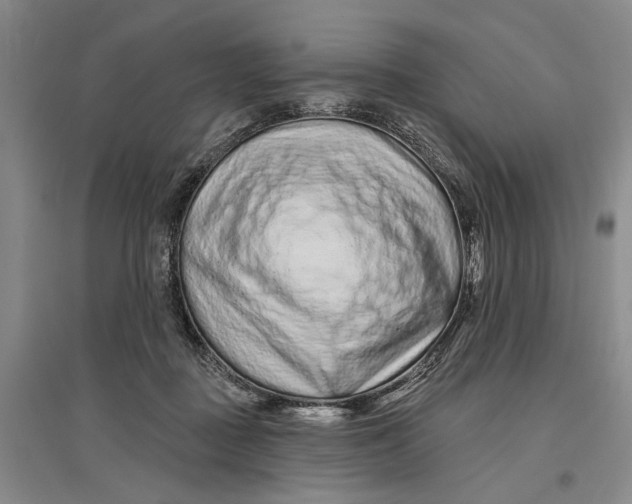 X0000096990363200802291214