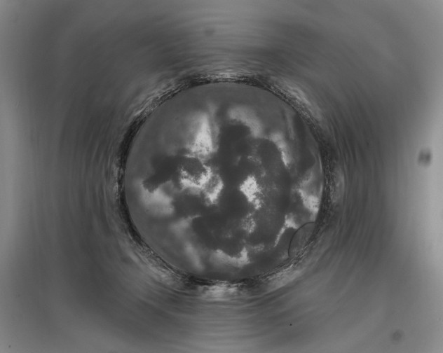 X0000096990366200802291214