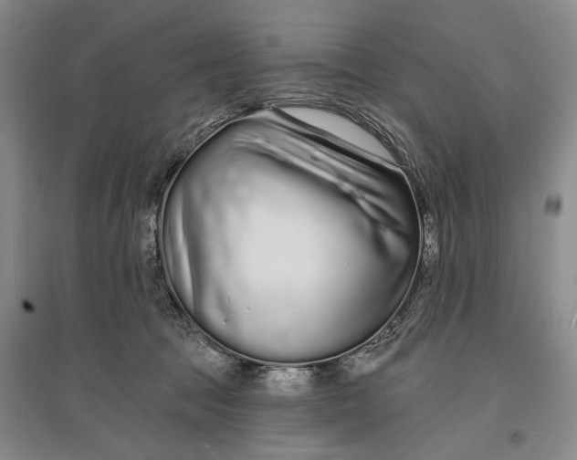 X0000096990369200802291214