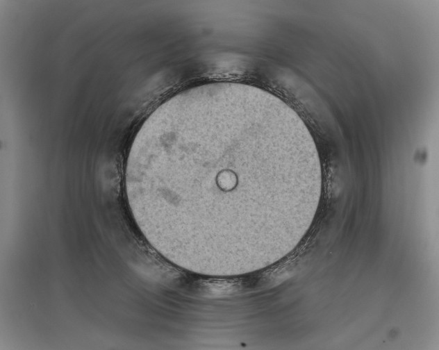 X0000096990370200802291214