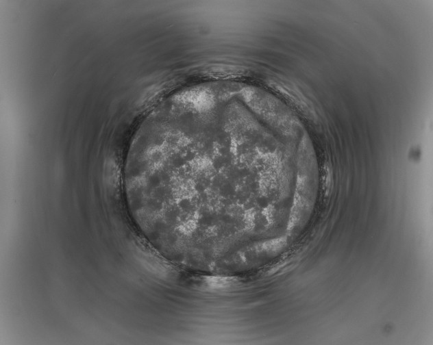 X0000096990371200802291214