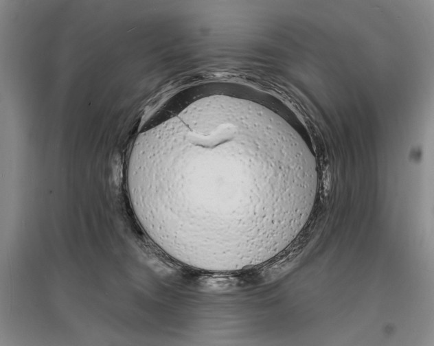 X0000096990372200802291214