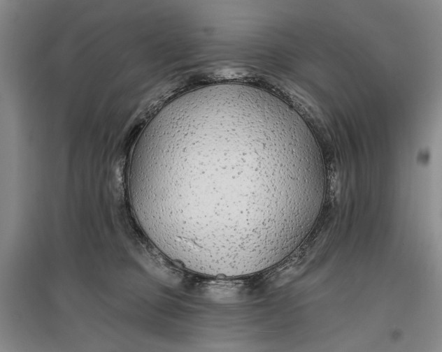 X0000096990373200802291214