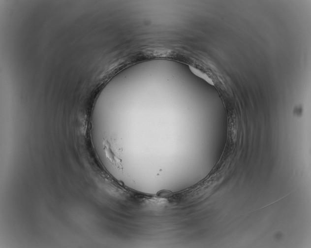 X0000096990374200802291214