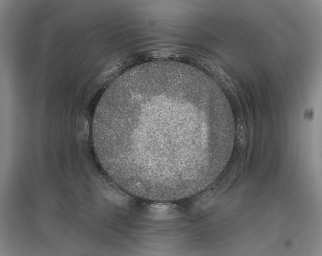 X0000096990375200802291214