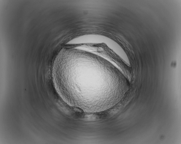 X0000096990376200802291214