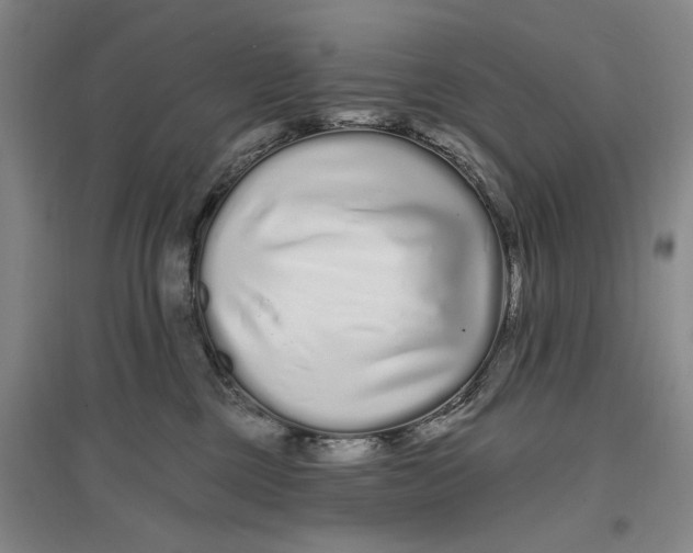 X0000096990377200802291215