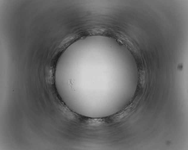 X0000096990378200802291215