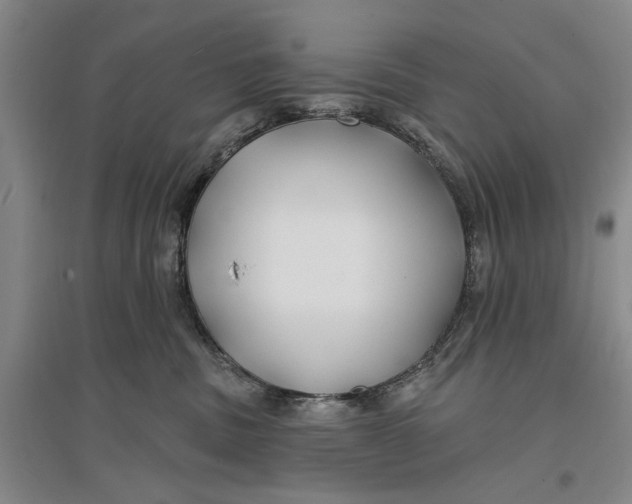 X0000096990379200802291215