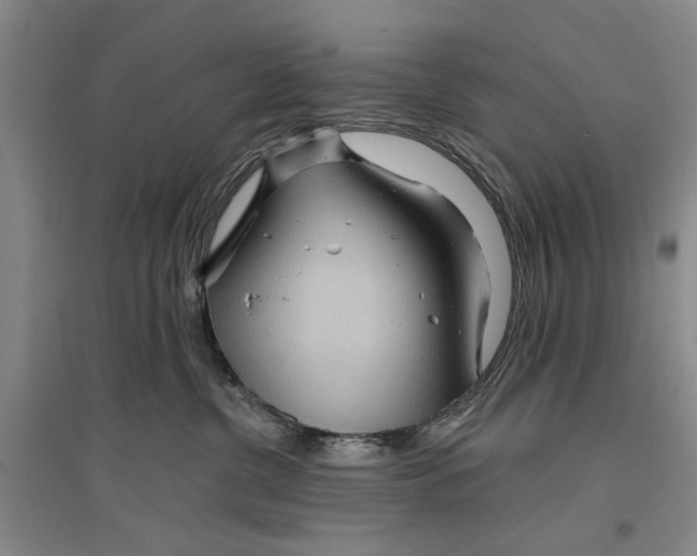 X0000096990380200802291215