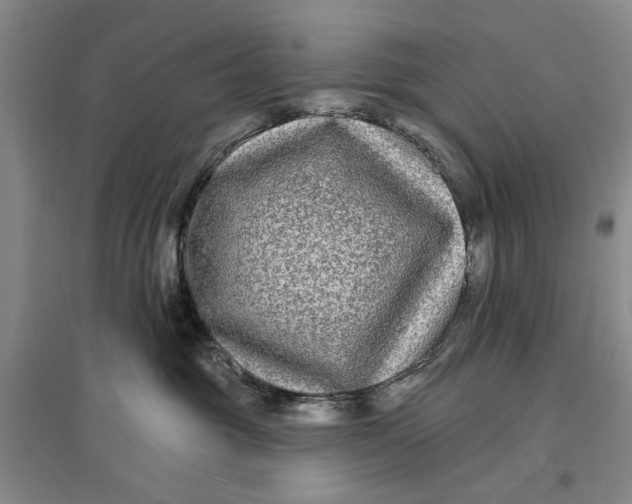 X0000096990381200802291215