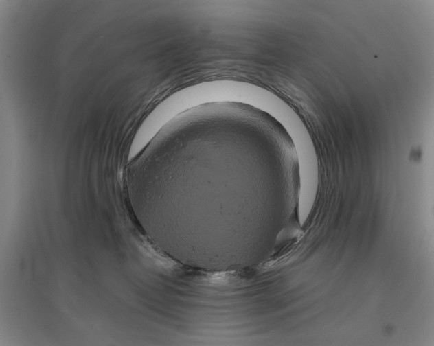 X0000096990382200802291215