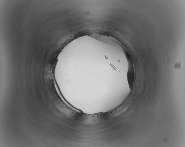 X0000096990384200802291215