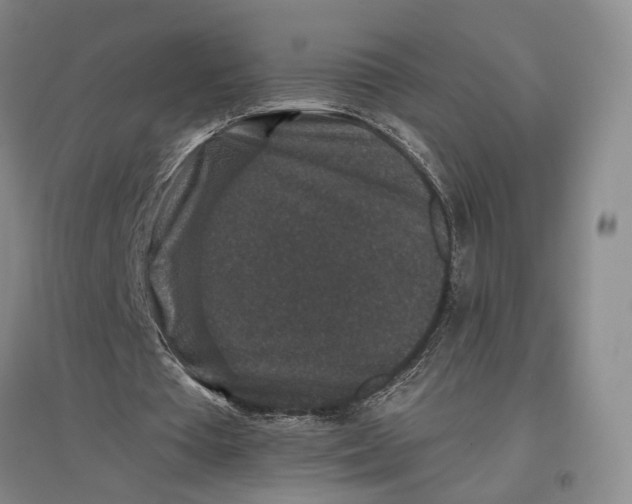 X0000096990385200802291214