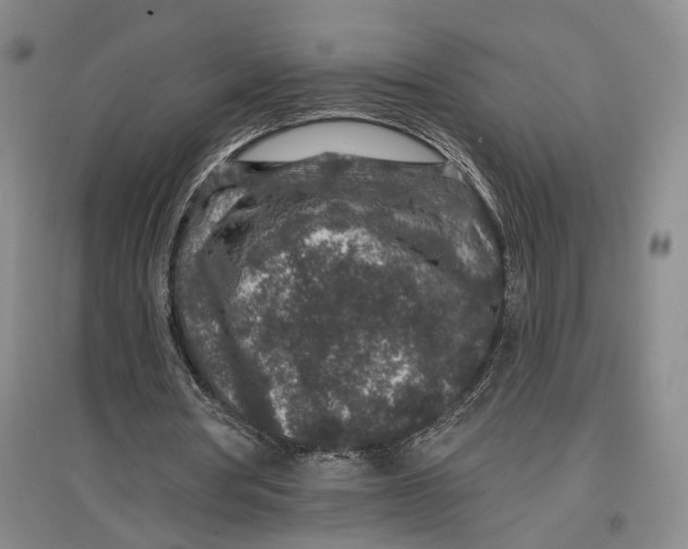 X0000096990386200802291214