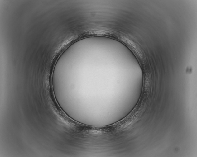 X0000096990394200802291214