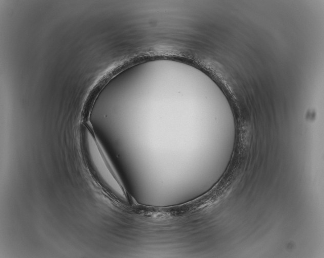 X0000096990395200802291214