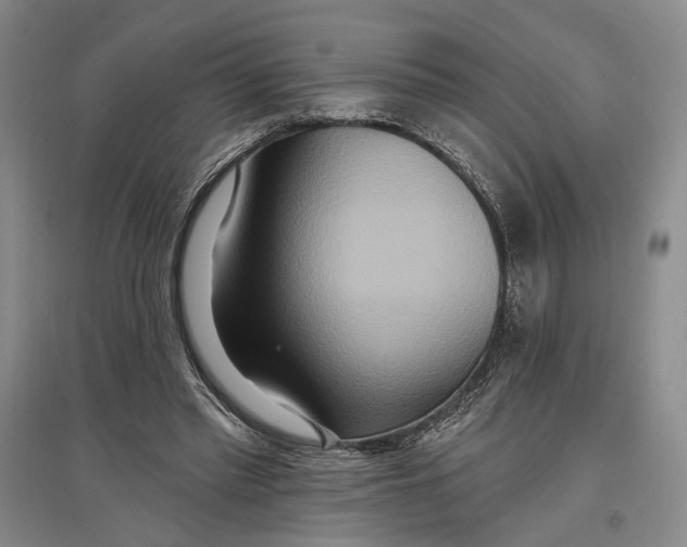 X0000096990397200802291214