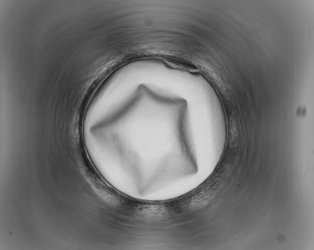 X0000096990398200802291214