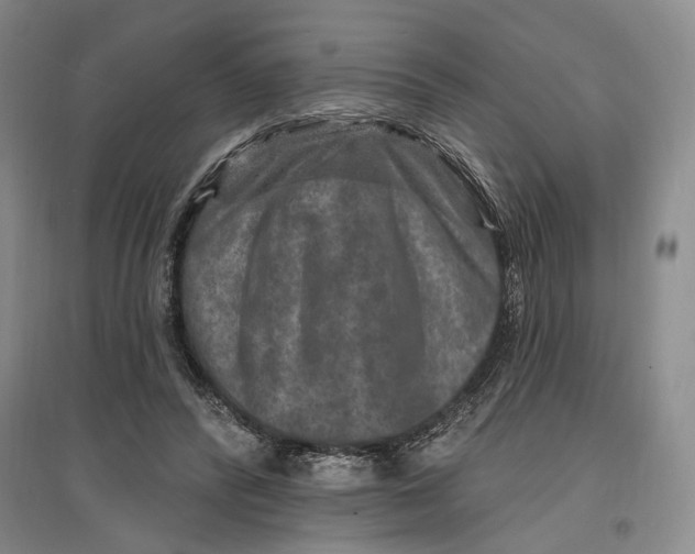 X0000096990400200802291214