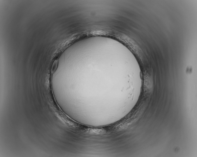 X0000096990401200802291214