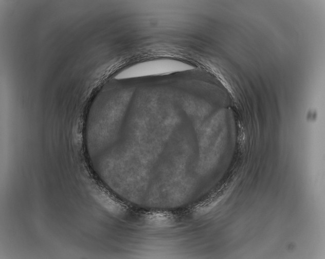 X0000096990402200802291214