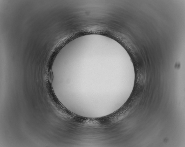 X0000096990403200802291214